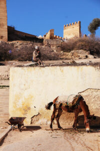 Fes [Maroc]
