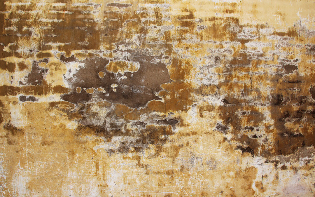 Wall